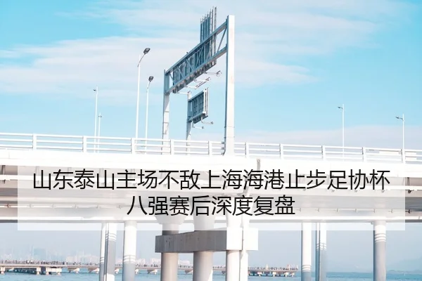 山东泰山主场不敌上海海港止步足协杯八强赛后深度复盘